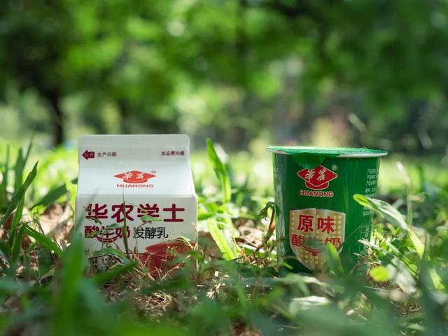 怎样自制苹果枸杞酸牛奶，自制酸奶加水果（全国各地的宝藏酸奶都在这儿了）