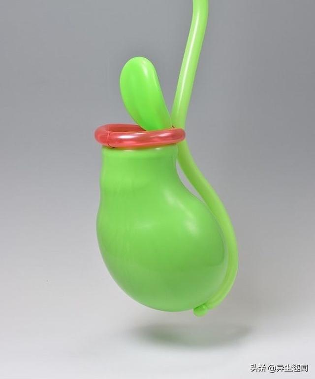 用气球做小动物教程，教你用气球做小狗的方法（日本艺术家用气球制作了令人难以置信的动物模型）
