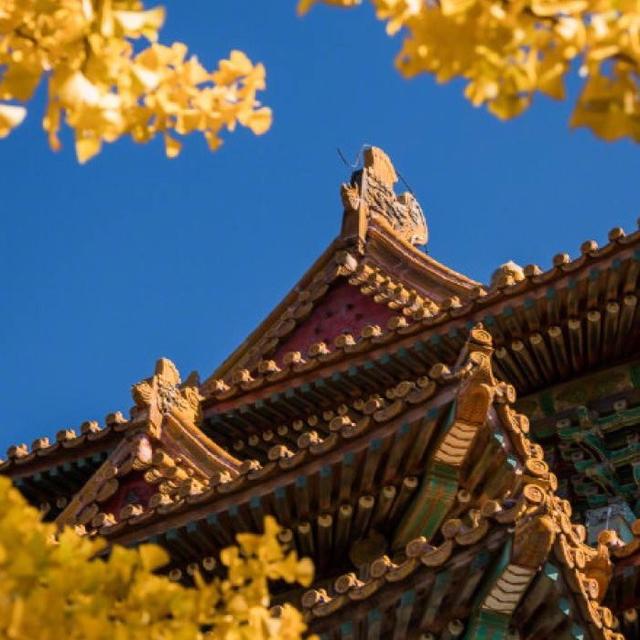 职场专用高逼格微信头像，女生，爸爸妈妈头像