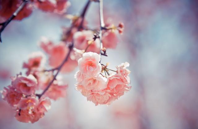 底线的句子，底线的句子搞笑（做人的底线，就7句<精辟>）