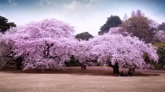 粗茶淡饭的反义词，粗茶淡饭的反义词是什么 标准答案（太齐全了，值得收藏）