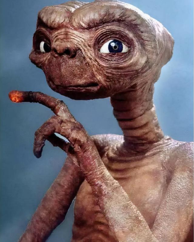 世界上有没有美人鱼，世界上到底有没有美人鱼之谜（900米深海拍到美人鱼）