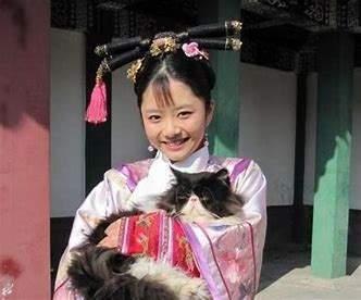 甄嬛传中淳常在哪里，甄嬛传一一为什么说淳贵人心机连甄嬛都自叹不如