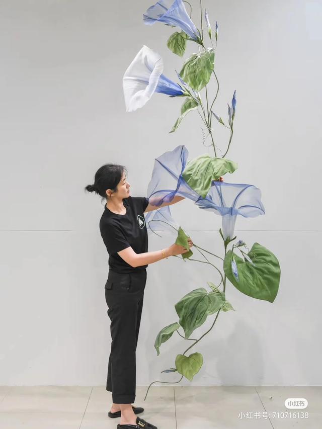 香皂花是什么材质做的，肥皂花是什么材料的（最适合懒人养的花）