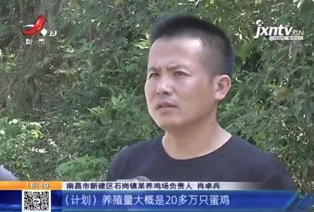 养鸡场投资多少钱，养1000只鸡需投资多少（男子投资200万元的养鸡场）