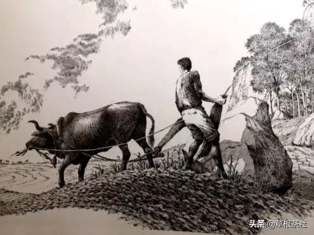 泰山梁木，知青岁月：留守农村几十年（泰山梁木）
