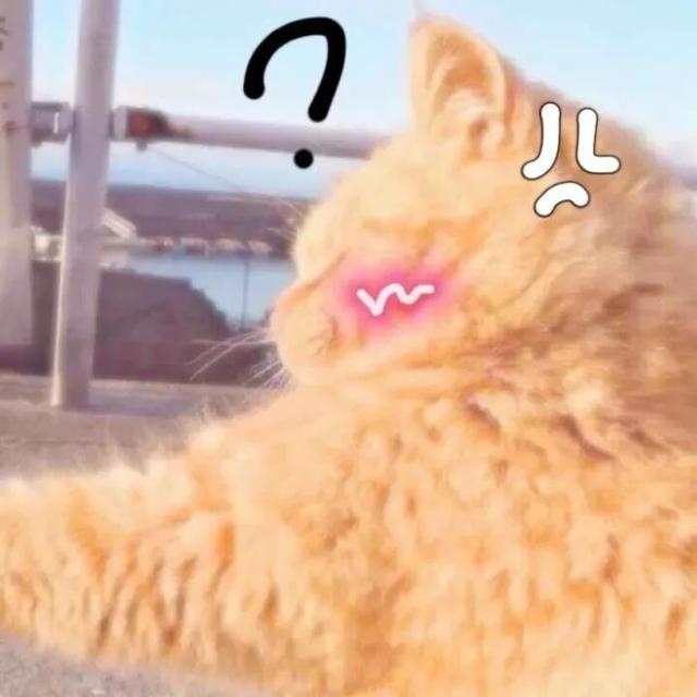 100组沙雕情侣头像，沙雕图片情侣头像（令人眼前一亮的发圈文案）