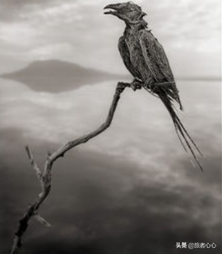 天然沥青湖，沥青湖是怎样形成的（这片湖深不见底却没有水）