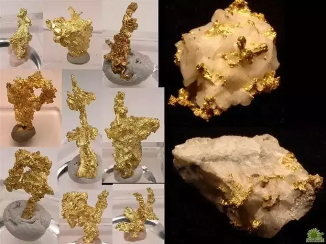 金矿石原石图片(金矿石原石多少钱一斤)
