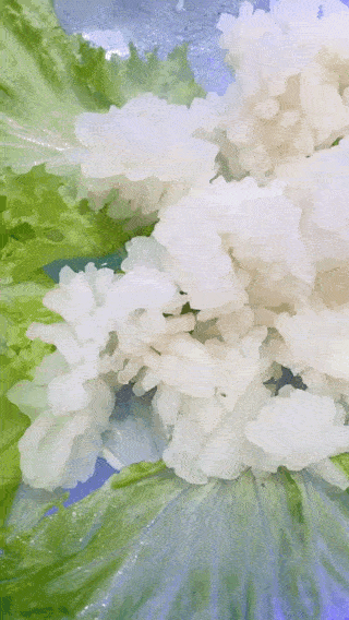 比尔森烤肉自助，秦皇岛比尔森自助餐几点开门（16家不限量自助火爆国际庄）