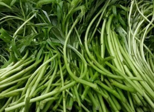 芦蒿香干怎么做，芦蒿炒香干好吃的诀窍