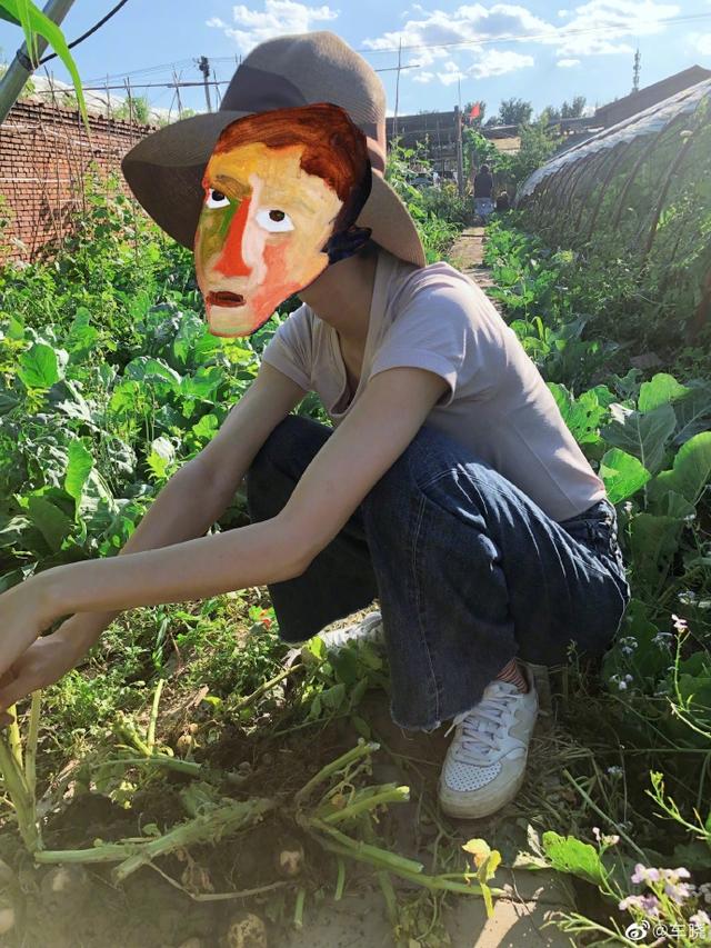 一个西红柿多少克，100克番茄多少卡（车晓蹲菜地采摘毫无包袱）