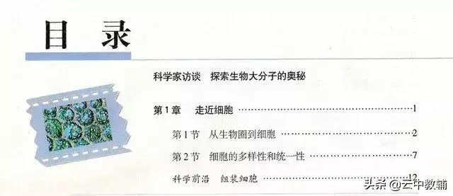 大肠杆菌菌落特征，大肠杆菌培养（一位高中生物老师分享对生物的理解）