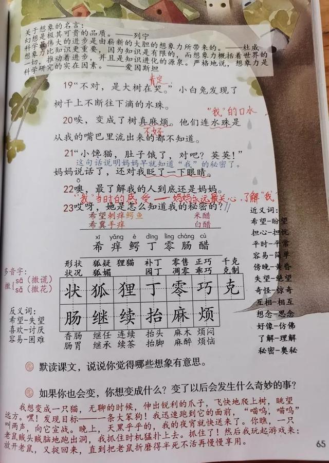 我变成一棵树的课堂笔记，小学三年级下册语文19课简单笔记（第五单元课堂笔记）