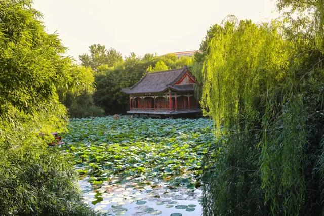 河北美院图片校园风光图片