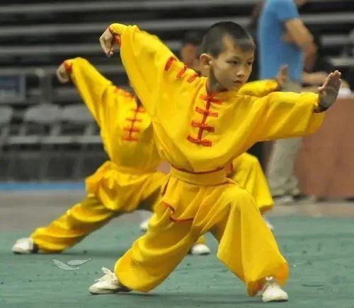 散打和自由搏击哪个更实用，自由搏击和散打哪个杀伤力大（搏击、武术、散打、跆拳道）