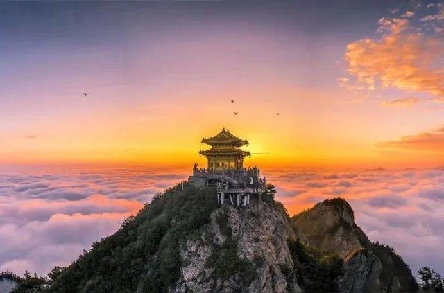 老君山在什么地方，老君山在什么地方是哪个省（老君山云海平均每年多达130天）