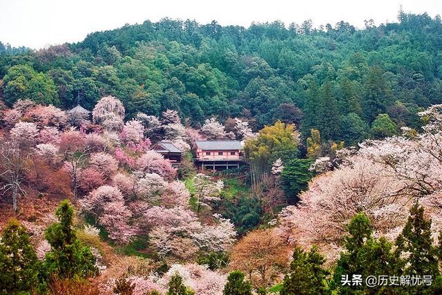 急公好义的意思，急公好义是什么意思（读个对联比上厕所还过瘾）