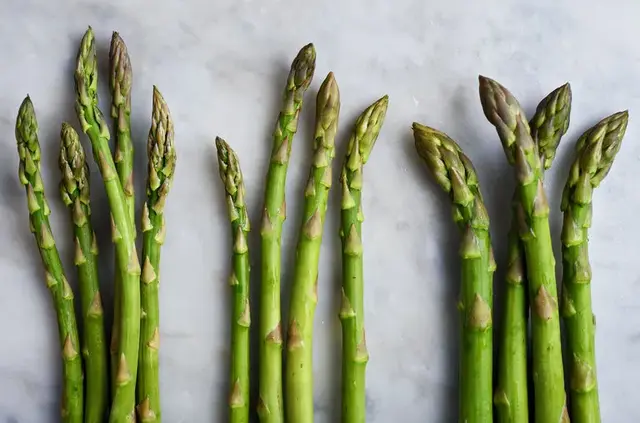 steam是什么软件，steam软件下载手机版（4月的芦笋“天生丽质”）