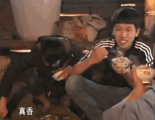 我敢保证，你嗑的CP，都没有这一对甜