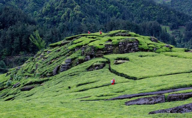 建始有什么好玩的，建始有什么好玩的景区（来恩施这个小众避暑地）