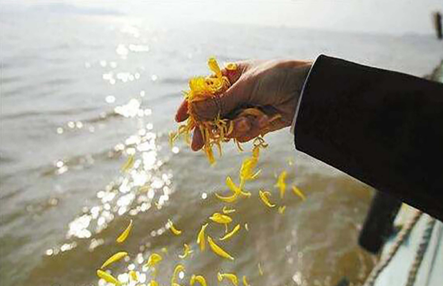 海葬全部费用大概多少钱，海葬多少钱（过世后能在上海海葬吗）