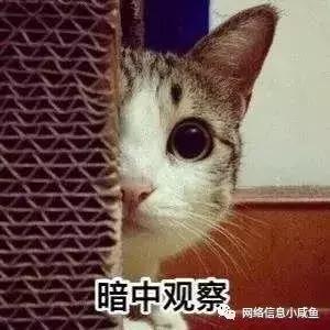 睾字怎么读,真不是段子:睾字瞒了你多少事(睾字怎么读) 睾字怎么读,真不是段子:睾字瞒了你多少事(睾字怎么读)