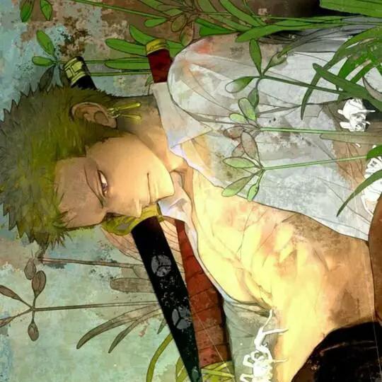 海贼之索隆篇，微信头像，海贼之索隆篇（海贼王索隆：如果是敌人的话）