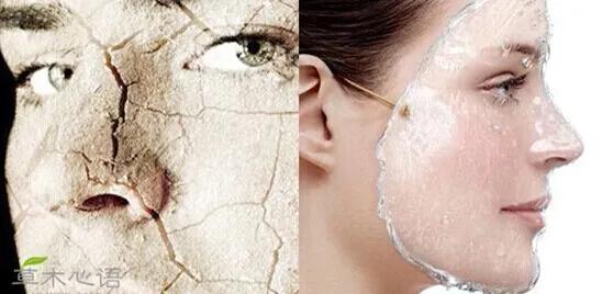 怎么保养脸部皮肤，怎么才能美白脸部皮肤（带你了解不同皮肤的护理步骤）