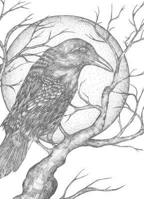 鼠目寸光是什么生肖，鼠目寸光是什么生肖?求解（关于十二生肖的成语你都知道哪些）