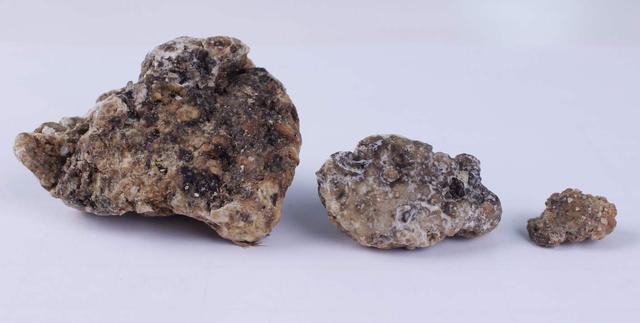 龙涎香是鲸鱼的屎吗，龙涎香是鲸鱼的排泄物（价值超50万的鲸鱼粪便）