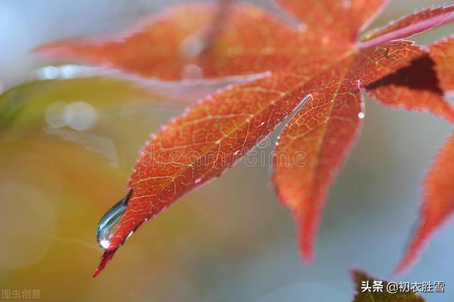 形容八月的美好诗句成语，形容八月十五的成语（二十四节气之立秋美诗四首）