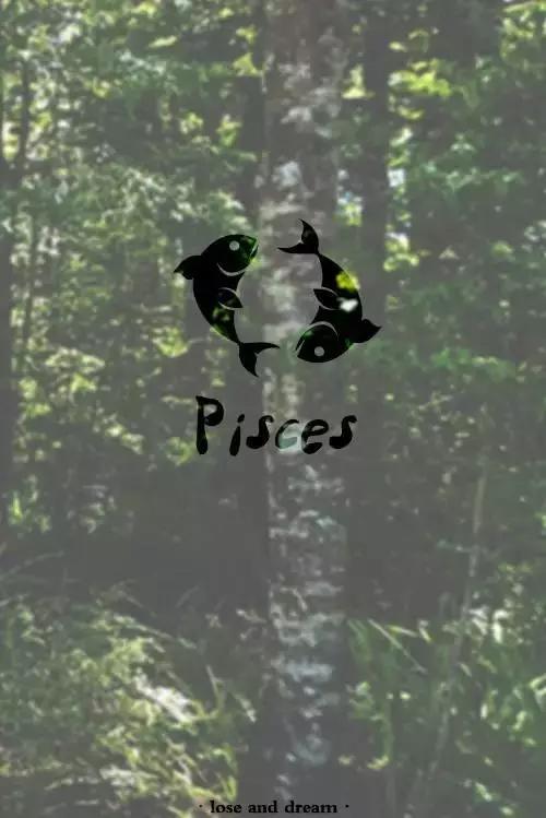 allen英文名什么意思，Allen英文名什么意思（你适合什么样的英文名）