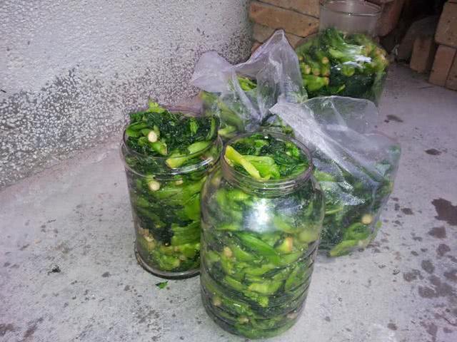 腊菜腌制方法，油菜田边的一种野菜