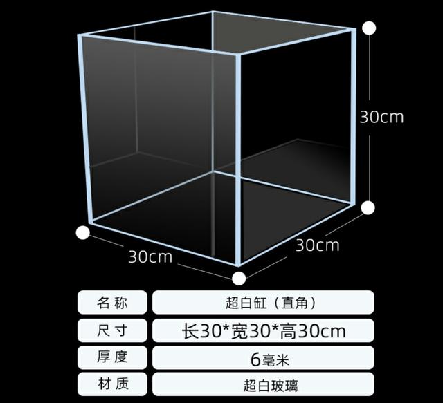 月亮鱼多少钱一条，月亮鱼的价格（预算不超200元，能不能养鱼）