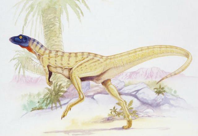 恐龙最早出现在什么时代，恐龙最早出现在什么时代中（关于恐龙你可能不知道的事实）