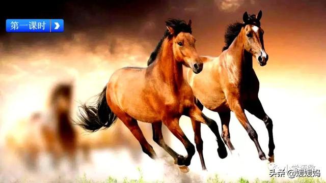 立根原在破岩中，立根原在破岩中里的破岩还是什么（六年级下册语文第10课《古诗三首》图文详解及同步练习）