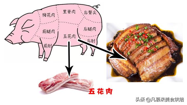 什么是母猪肉，猪肉都是母猪吗（猪肉各部位图解与介绍）