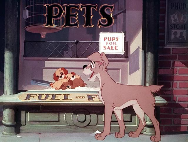 恶魔的枕边细语，同性恋小说现代虐的（被这十部伟大的宽银幕电影彻底改变）