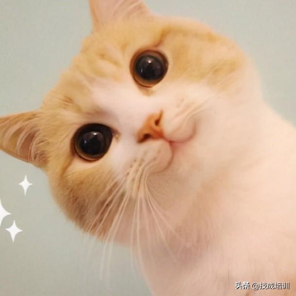 家用电压是多少伏，家用电多少伏（为什么家用选择220V电路）