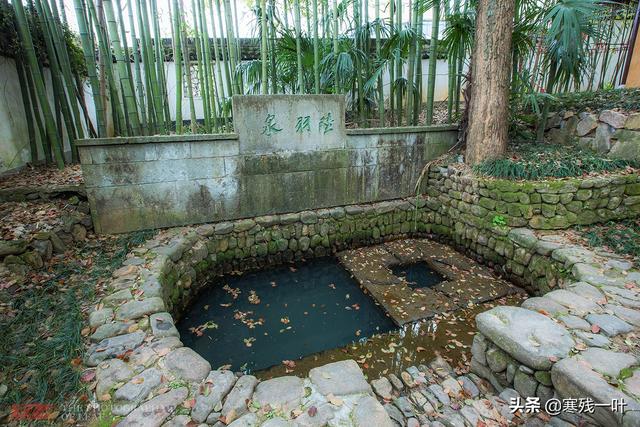 杭州名泉叫什么，杭州有哪一眼名泉（杭州有一口1200年的古泉）