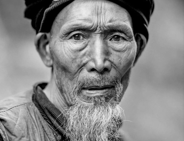 汉人血统最纯长相,血统最纯的汉人是越南人吗(如何演变成今天不同的