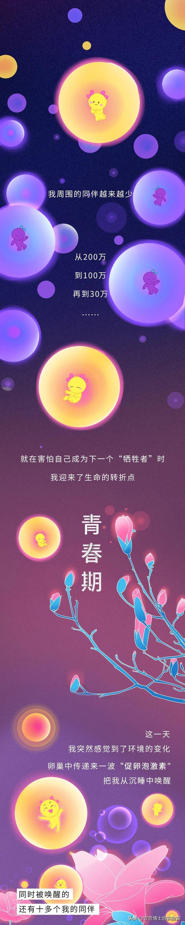 悄无声息的意思，悄无声息的意思是什么（你对女生的卵子根本一无所知）