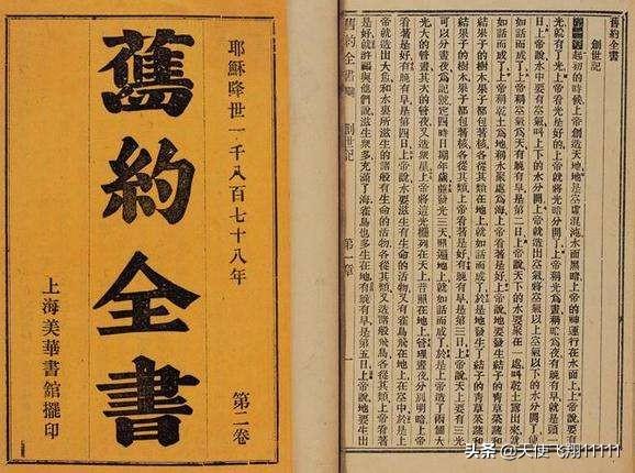 伊丽莎白瓜的营养价值，为什么外国文学里常有“伊丽莎白”这个名字