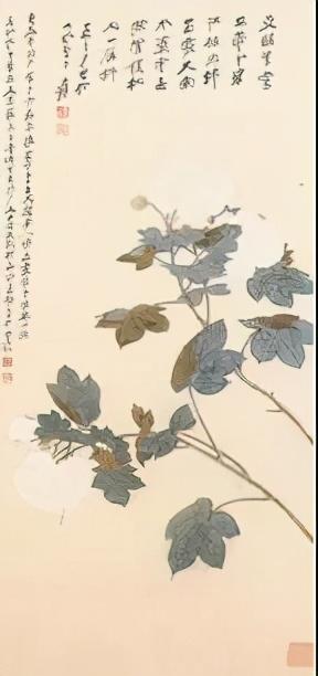 蓉城是哪个城市，花令丨芙蓉城里话芙蓉（冰城是哪个城市）