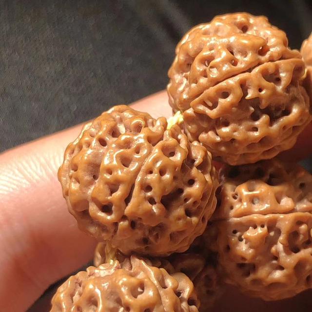 凝脂是什么意思，金刚菩提中的“凝脂”