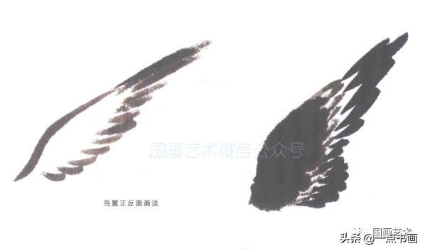 鸟字多少笔画，鸟字有多少笔画（写意禽鸟的基本画法讲解）