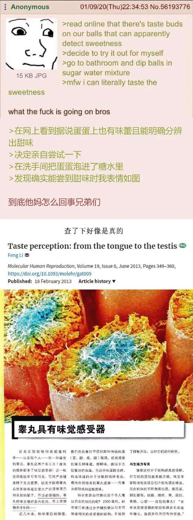 otocicgalesnjak在哪个国家，OtocicGalesnjak这个单词怎么读这个心形的小岛有没有人去过