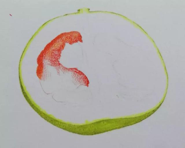 简笔画柚子怎么画，简笔画柚子怎么画好看（绘画~彩铅丨香甜可口的柚子）