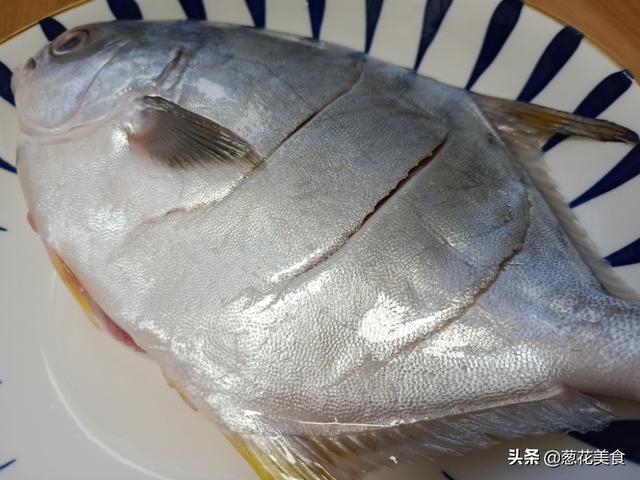 金昌鱼怎么做好吃，红烧金昌鱼如何做法好吃（金鲳鱼特简单的做法）